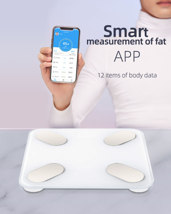 best smart food scale with app